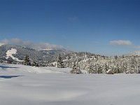 DSC_5783_panorama_500.jpg