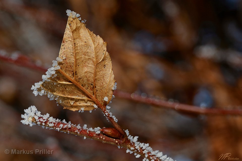 2014.02.01 113912 Ehenbichl morgenstimmung 1000