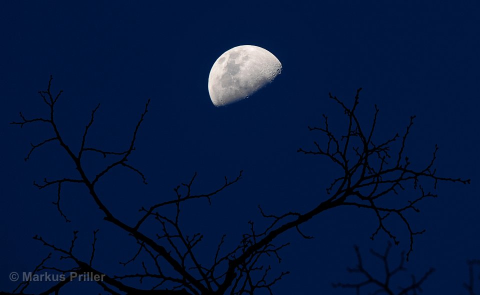 Mond001