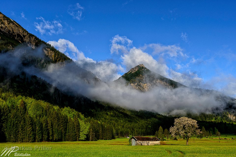 2014.05.08 071355 Morgenstimmung Vils 3000