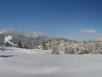 DSC_5783_panorama_500.jpg