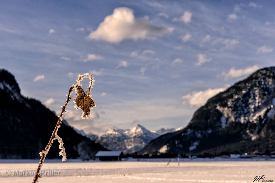 2014.02.01 112255 Ehenbichl morgenstimmung 1000